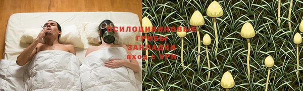 ГАЛЛЮЦИНОГЕННЫЕ ГРИБЫ Заводоуковск